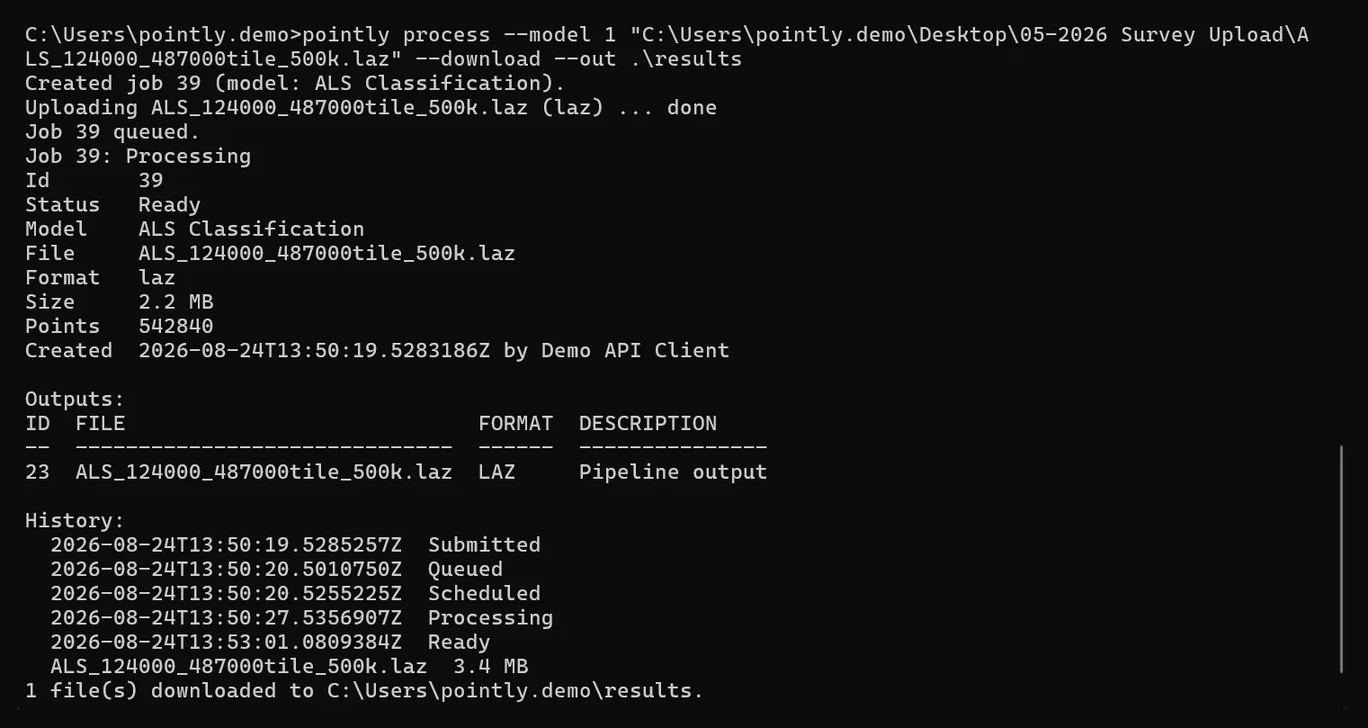 One command submits the file, waits for the job and writes the classified cloud back to disk.