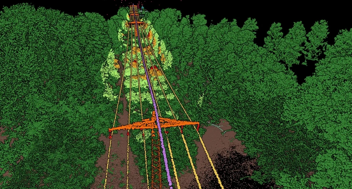 Vegetation under the wire colored by how close it is, against the untouched forest beside it